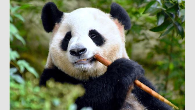 Captura de pantalla 1