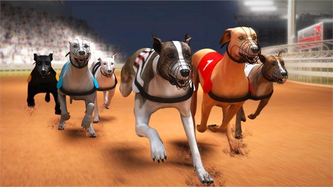 Greyhound Racing Run Dog