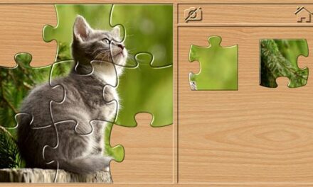 Animal Puzzles for Kids – Preschool Jigsaw Learning Games